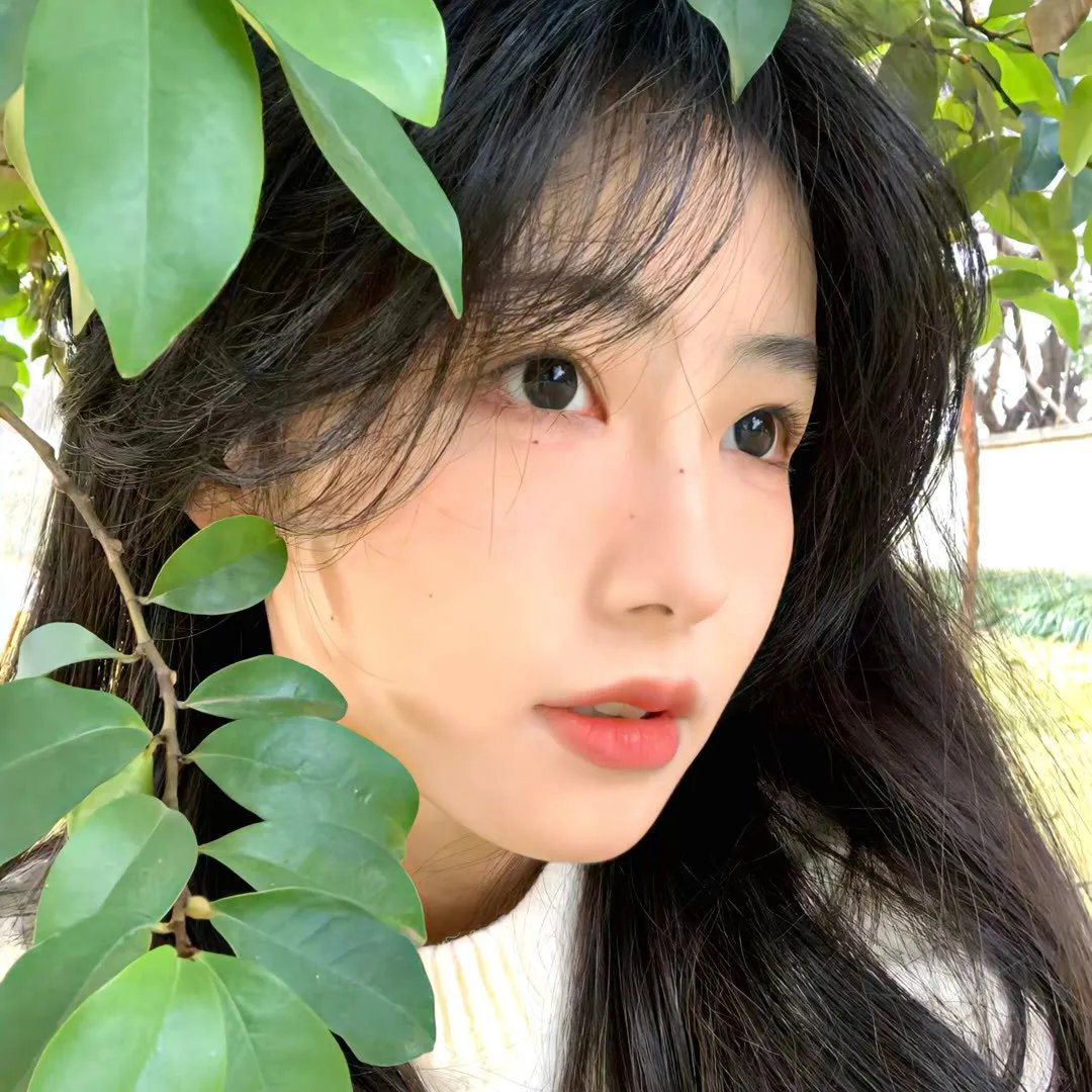 海之梦